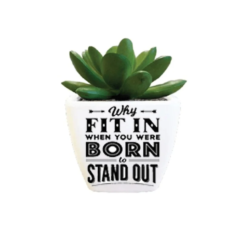 H & H Gifts : Succulent - Why Fit In