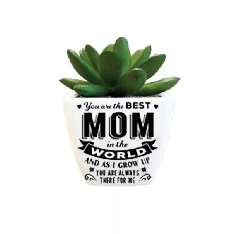 H & H Gifts : Succulent -  You Are The Best Mom