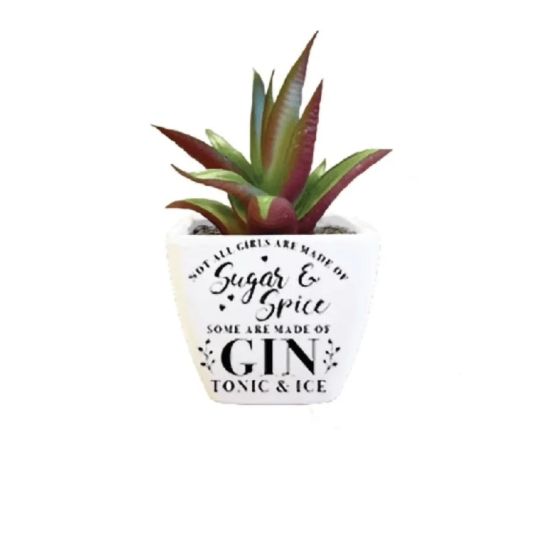 H & H Gifts : Succulent - Not All Girls Are Made Of Sugar & Spice