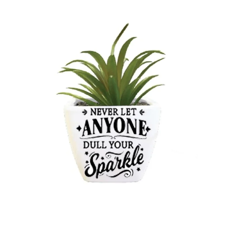 H & H Gifts : Succulent - Never Let Anyone Dull Your Sparkle