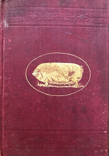 (Pigs) Coburn, F.D. Swine Husbandry: A Practical Manual for the Breeding, Rearing and Management of Swine.