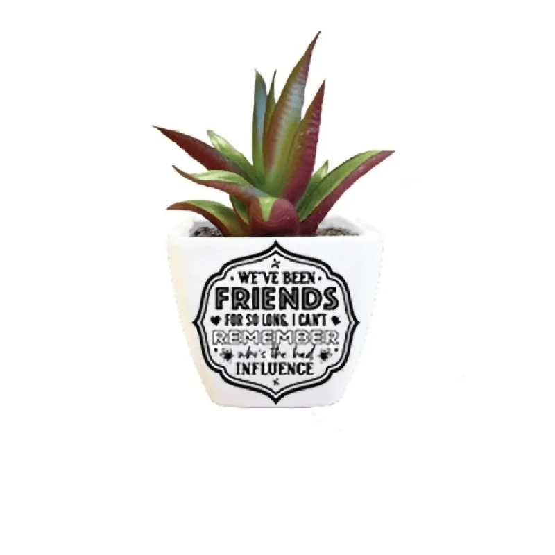 H & H Gifts : Succulent - We've Been Friends For So Long